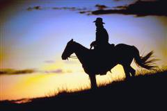Cowboy on Horse