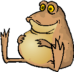 Toad