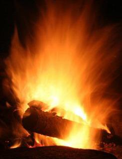 Log in fire